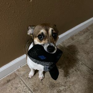 Meet your Posher, Cynthia